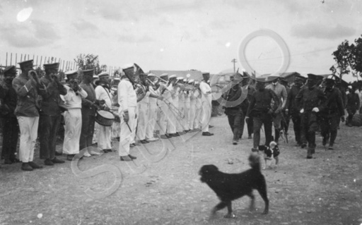P1031
