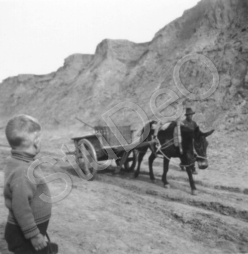P3134