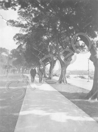 P1667