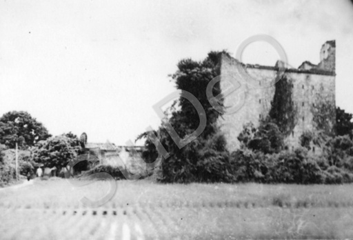 P5532