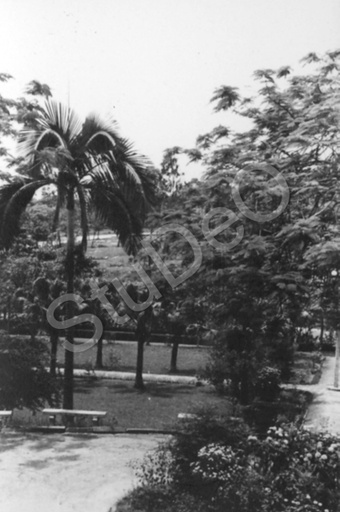 P5552