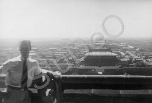 P3233