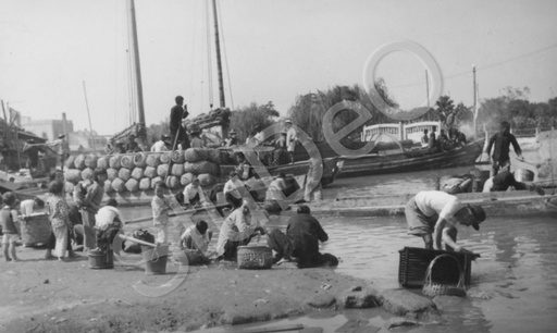 P5592