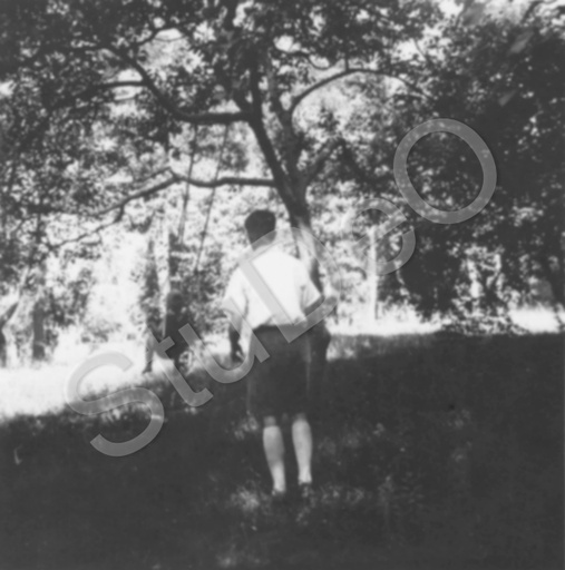 P3132