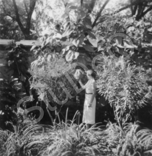 P3183