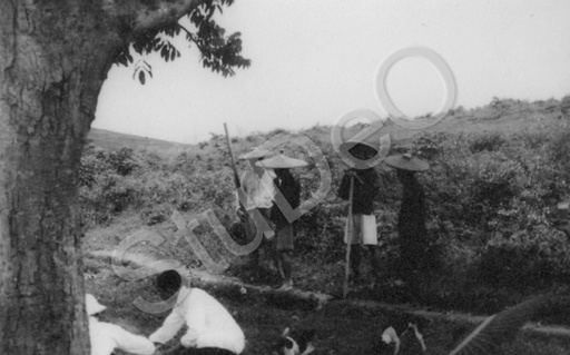 P5525