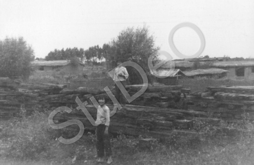P5533