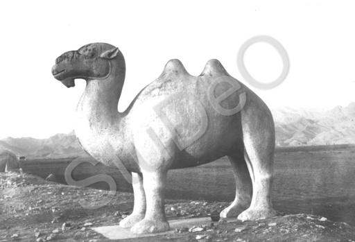 P3008