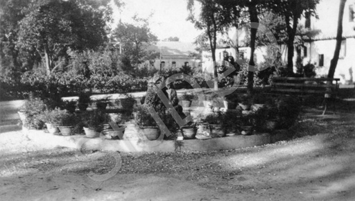 P1106