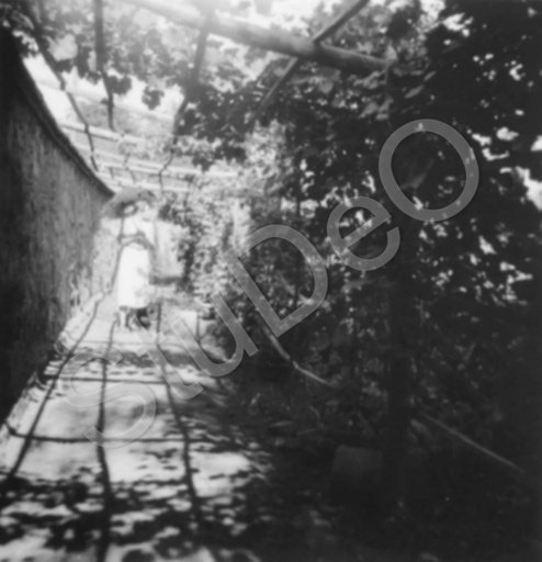P3194