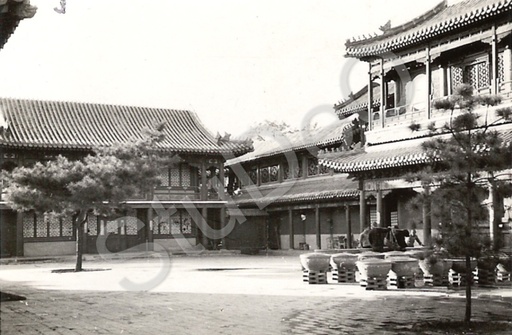 P5391