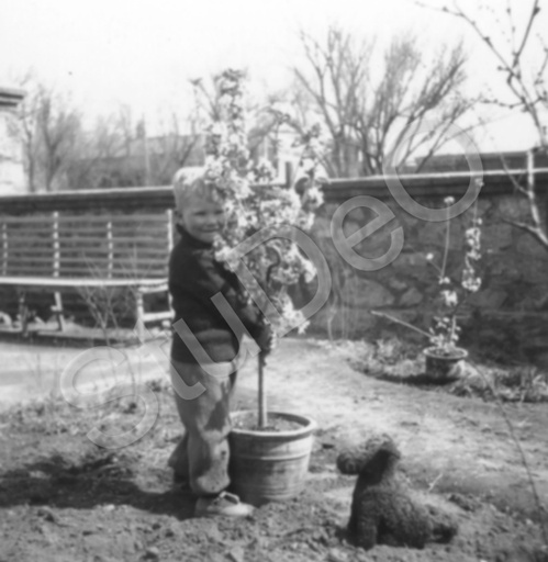 P3156