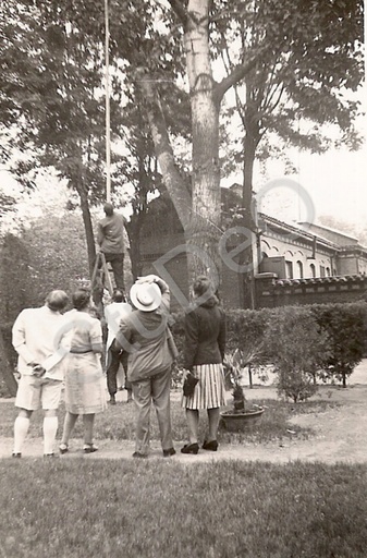 P5411