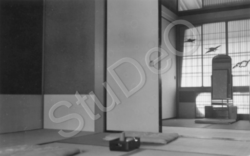 P3162