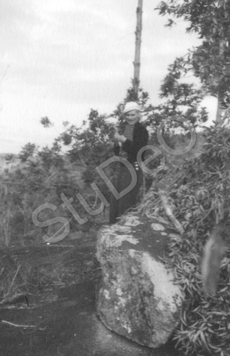 P5590